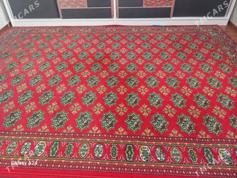 Haly - Gumdag - img 2