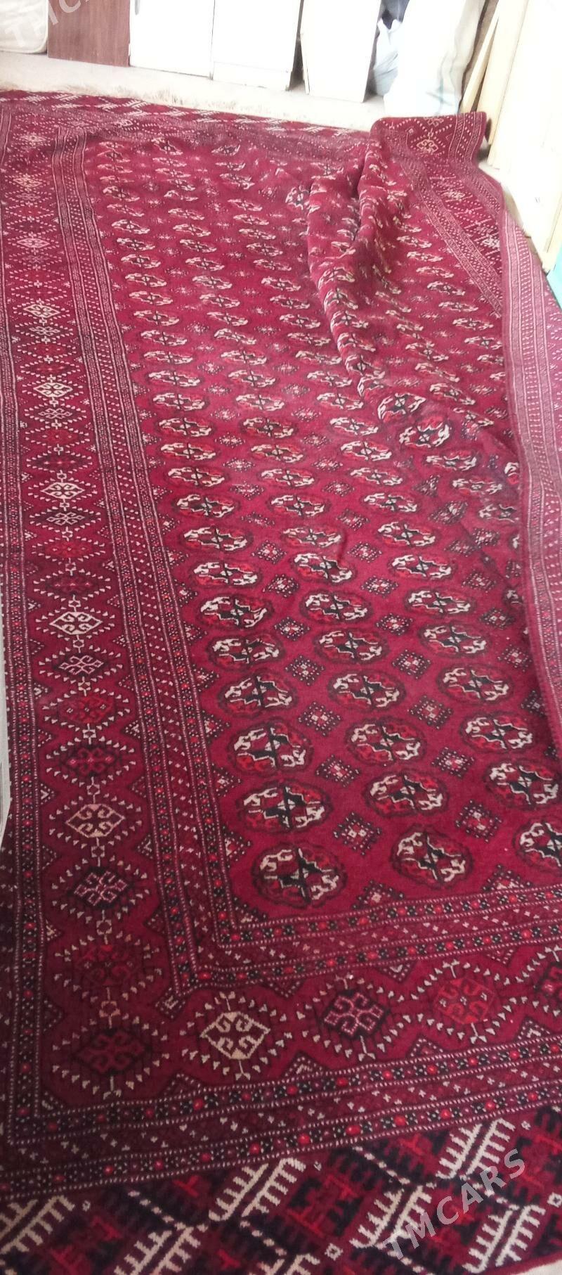 Satyn alyas - Ашхабад - img 2