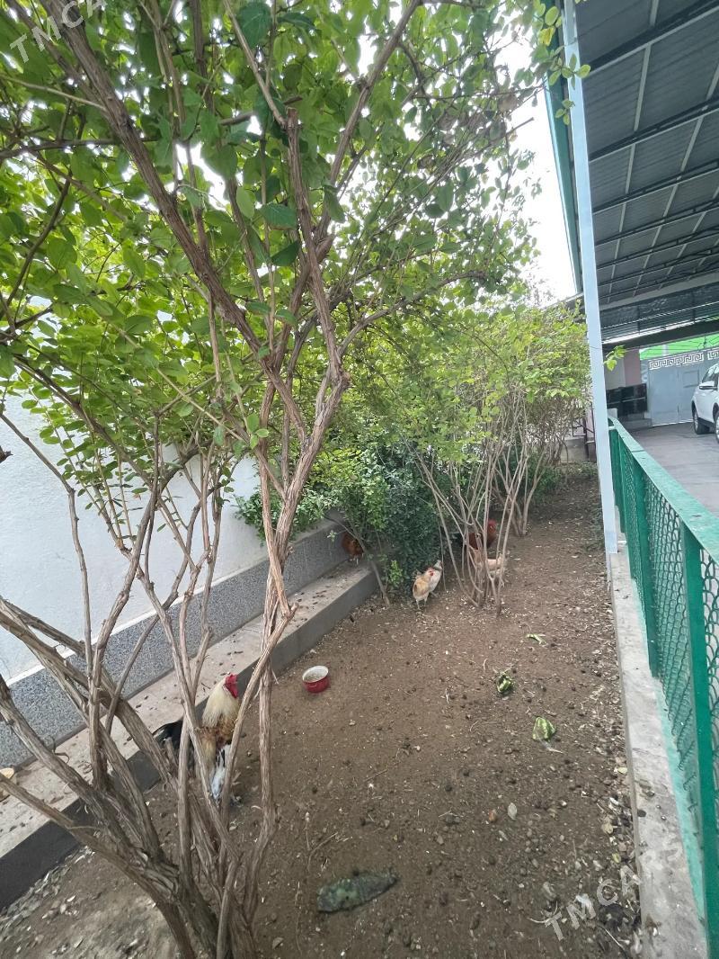 SATLYK PLAN  JAY - Гёкдже - img 3