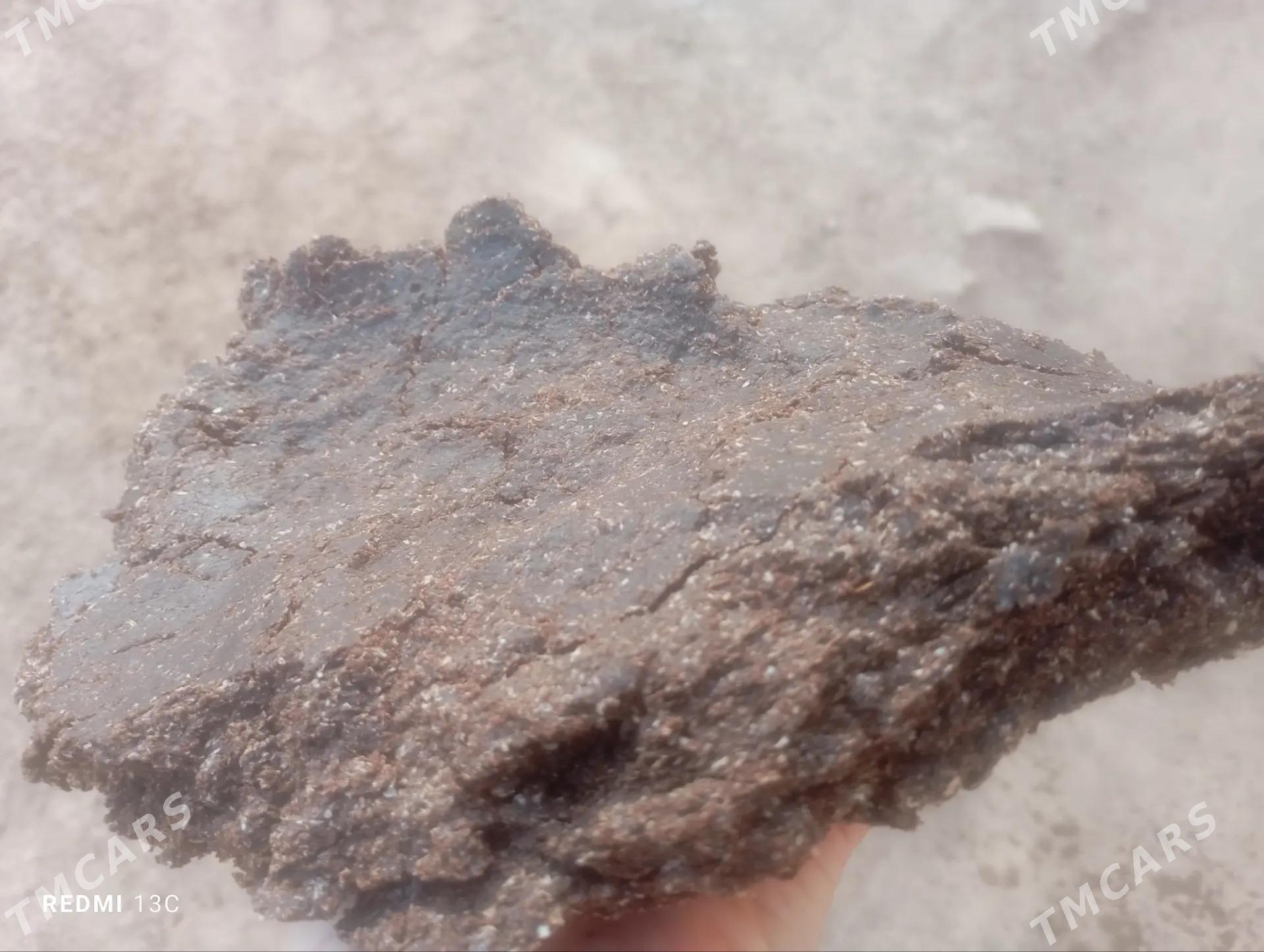 gunjara - Köneürgenç - img 1