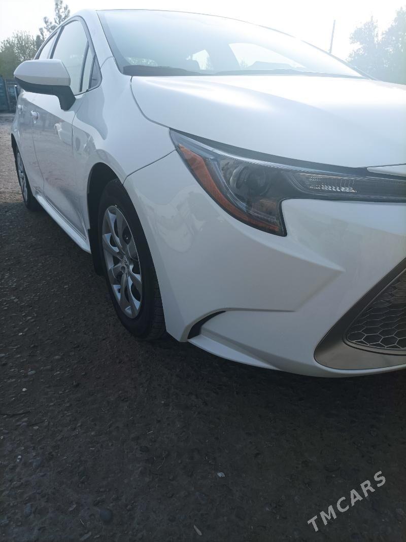 Toyota Corolla 2021 - 240 000 TMT - Mary - img 3