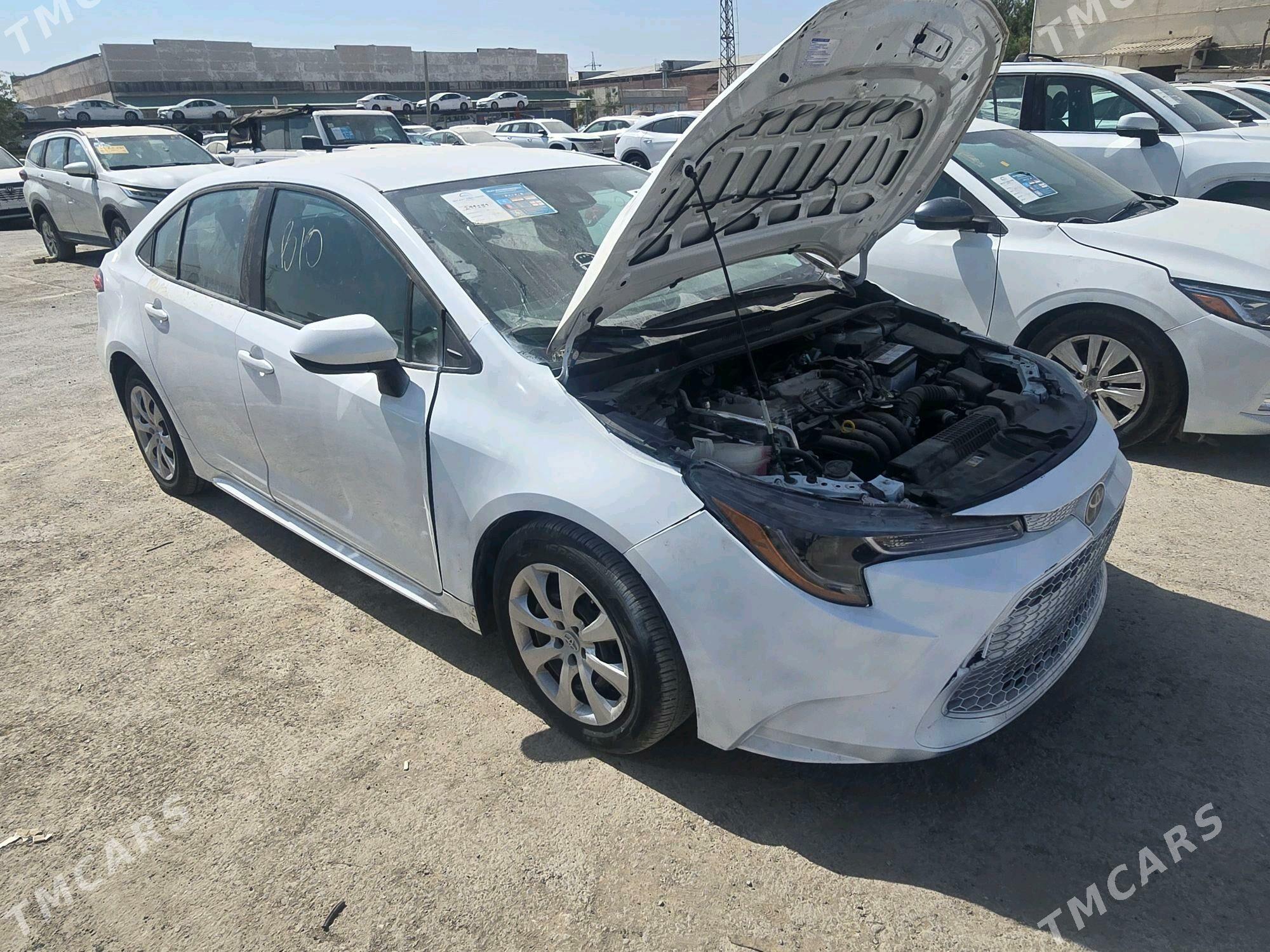 Toyota Corolla 2022 - 221 500 TMT - Мары - img 3