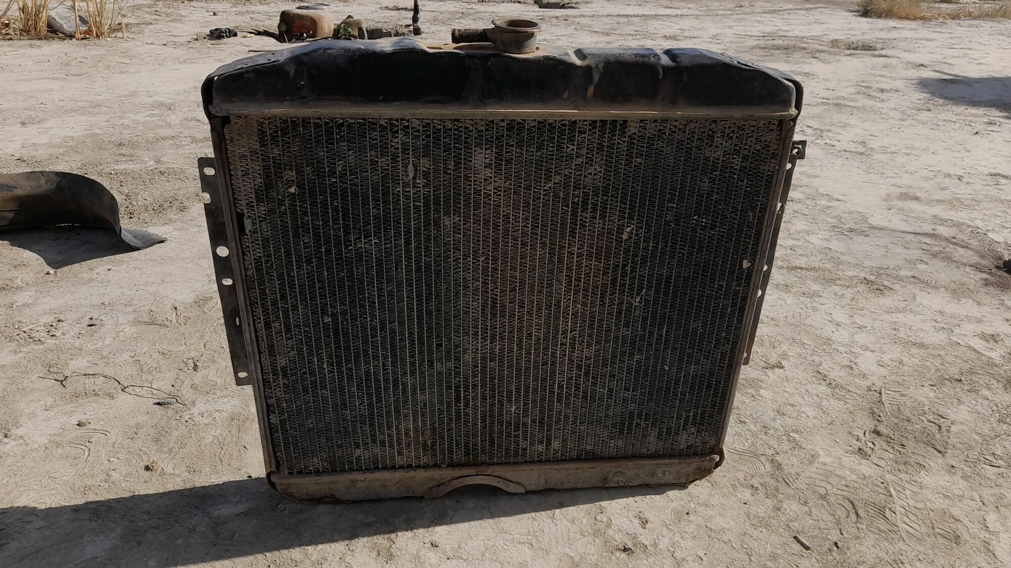 Ratyyatyr 53 donuz kelle 1 000 TMT - Tejen - img 2