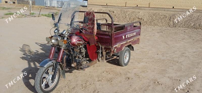 Fekon FK150-8G 2015 - 15 000 TMT - Сакарчага - img 5