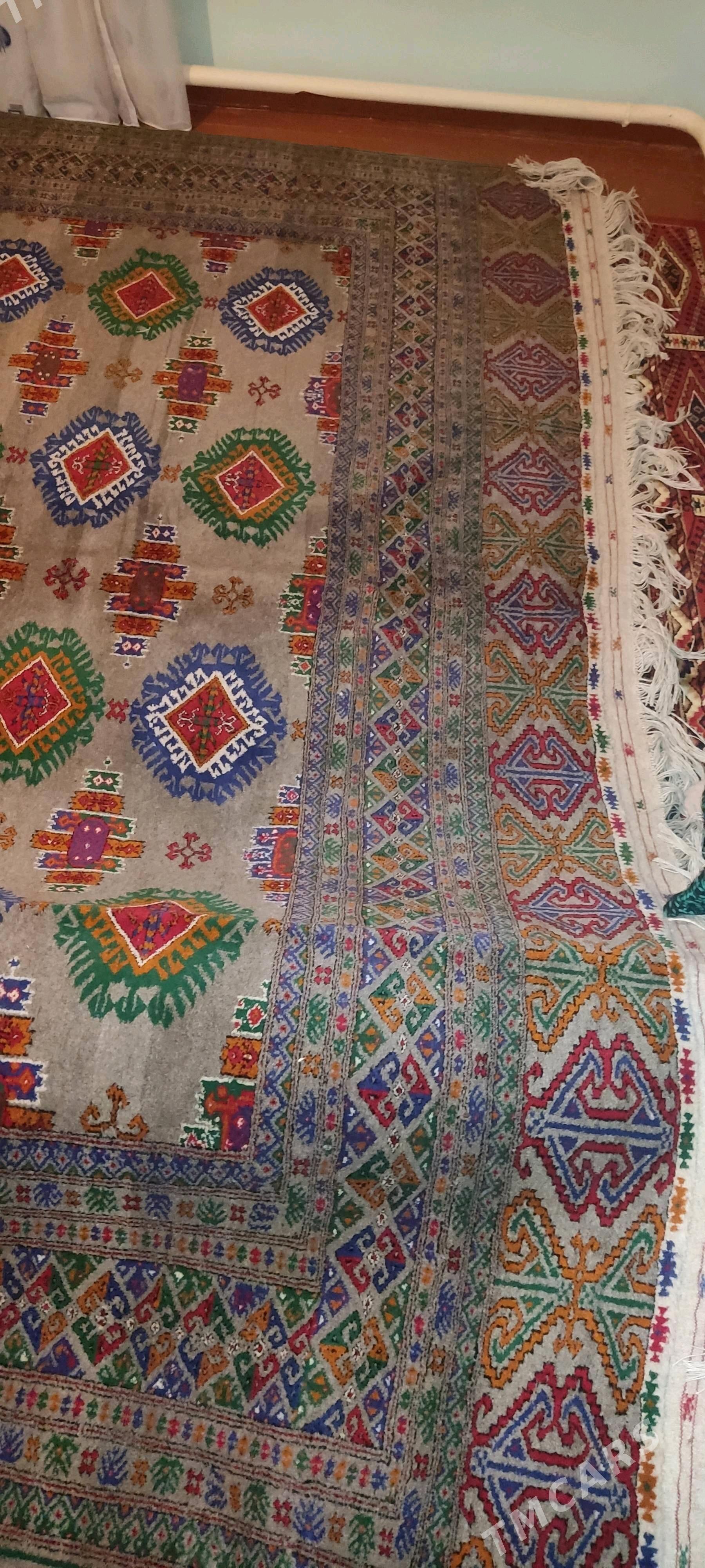 el haly 3/4 - Бахарден - img 3