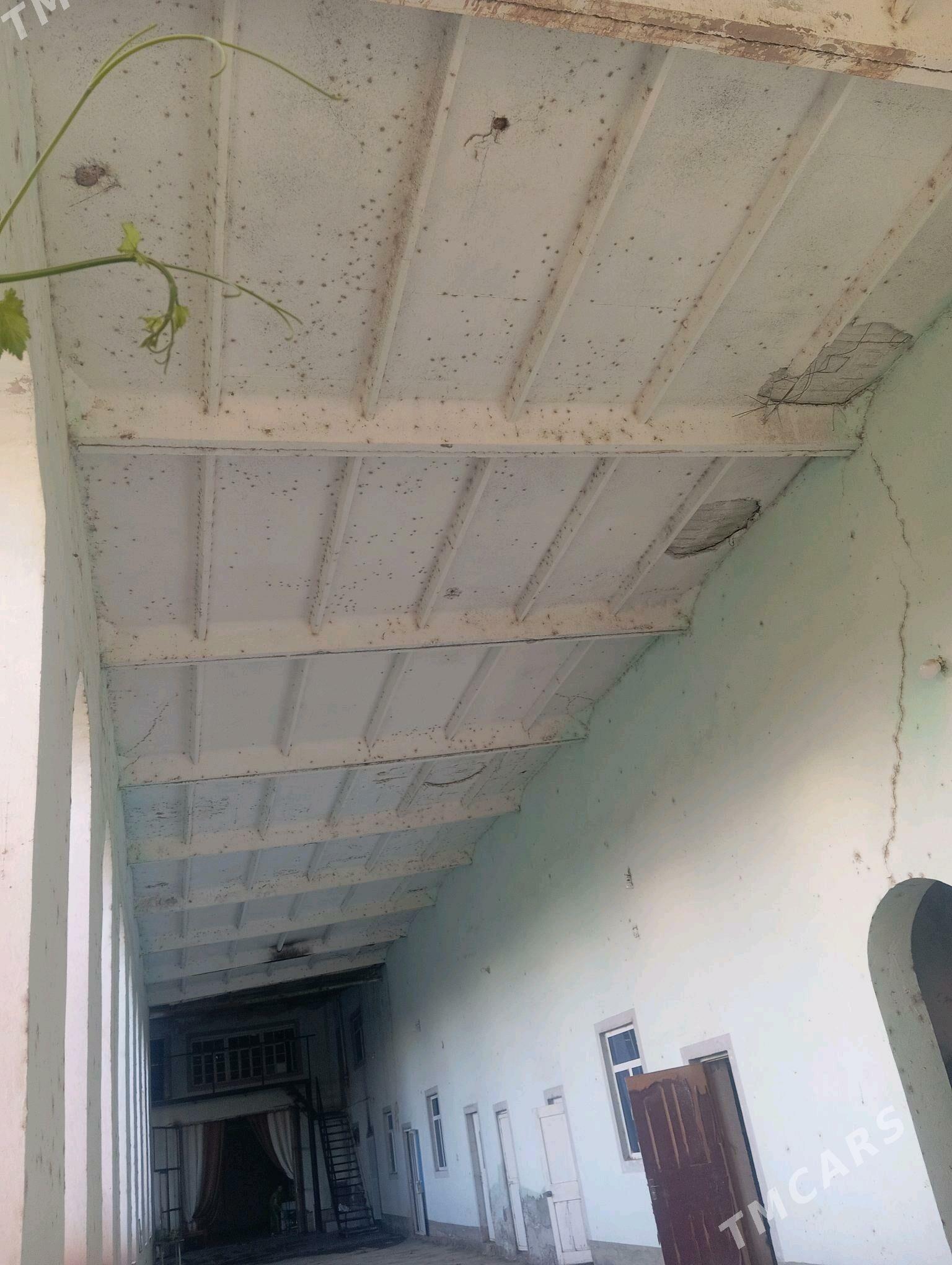 plita beton 3x6 - Дянев - img 2