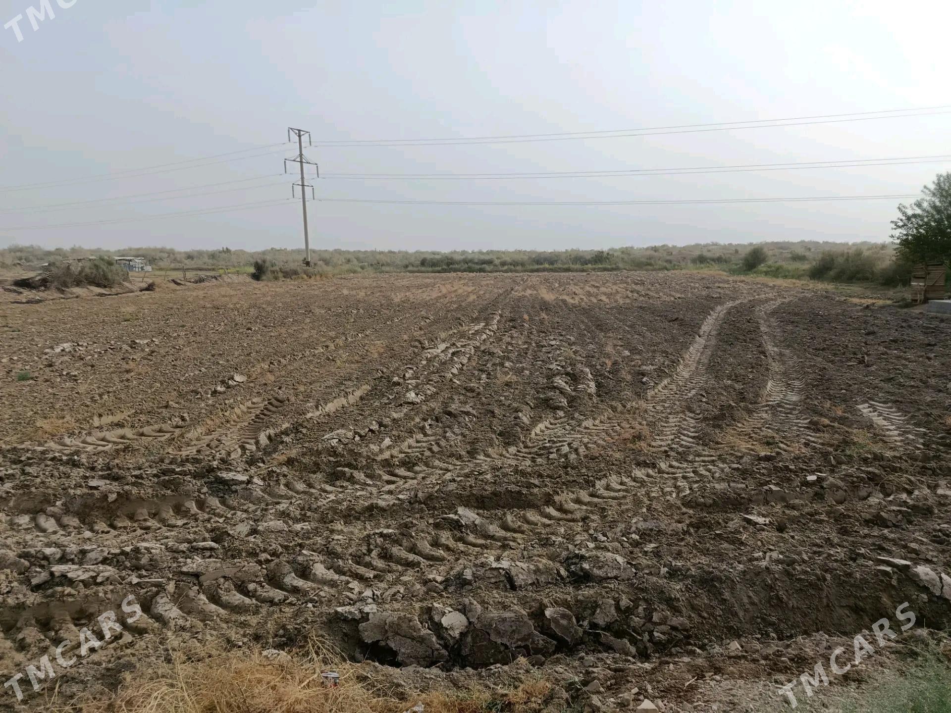 Satlyk jay - Чарджоу - img 5