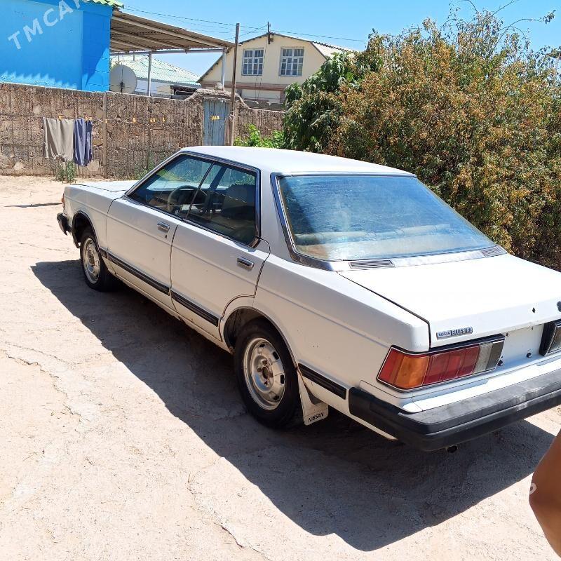 Nissan Bluebird 1980 - 7 000 TMT - Gökdepe - img 2