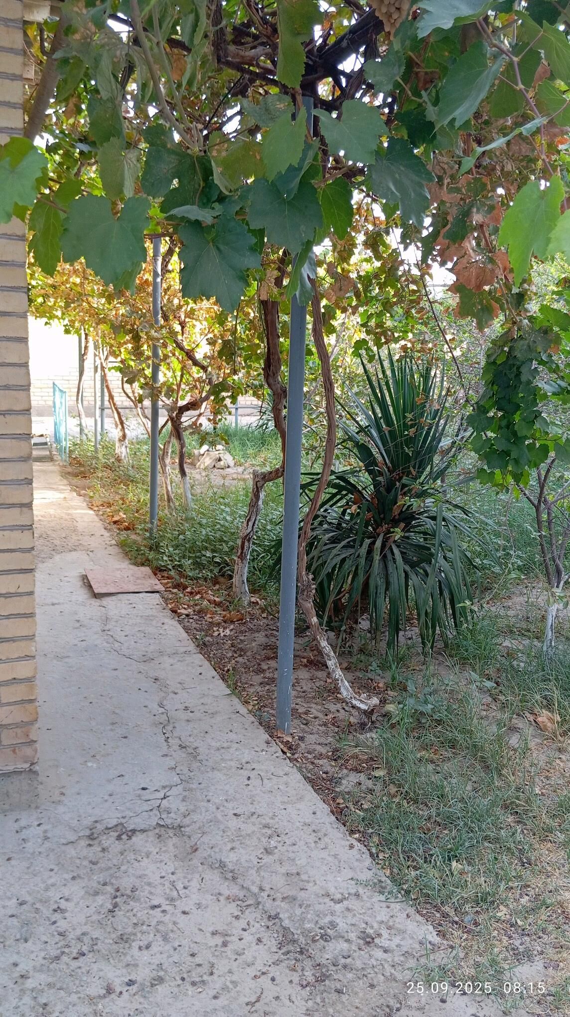 Недвижимость - Türkmenabat - img 4