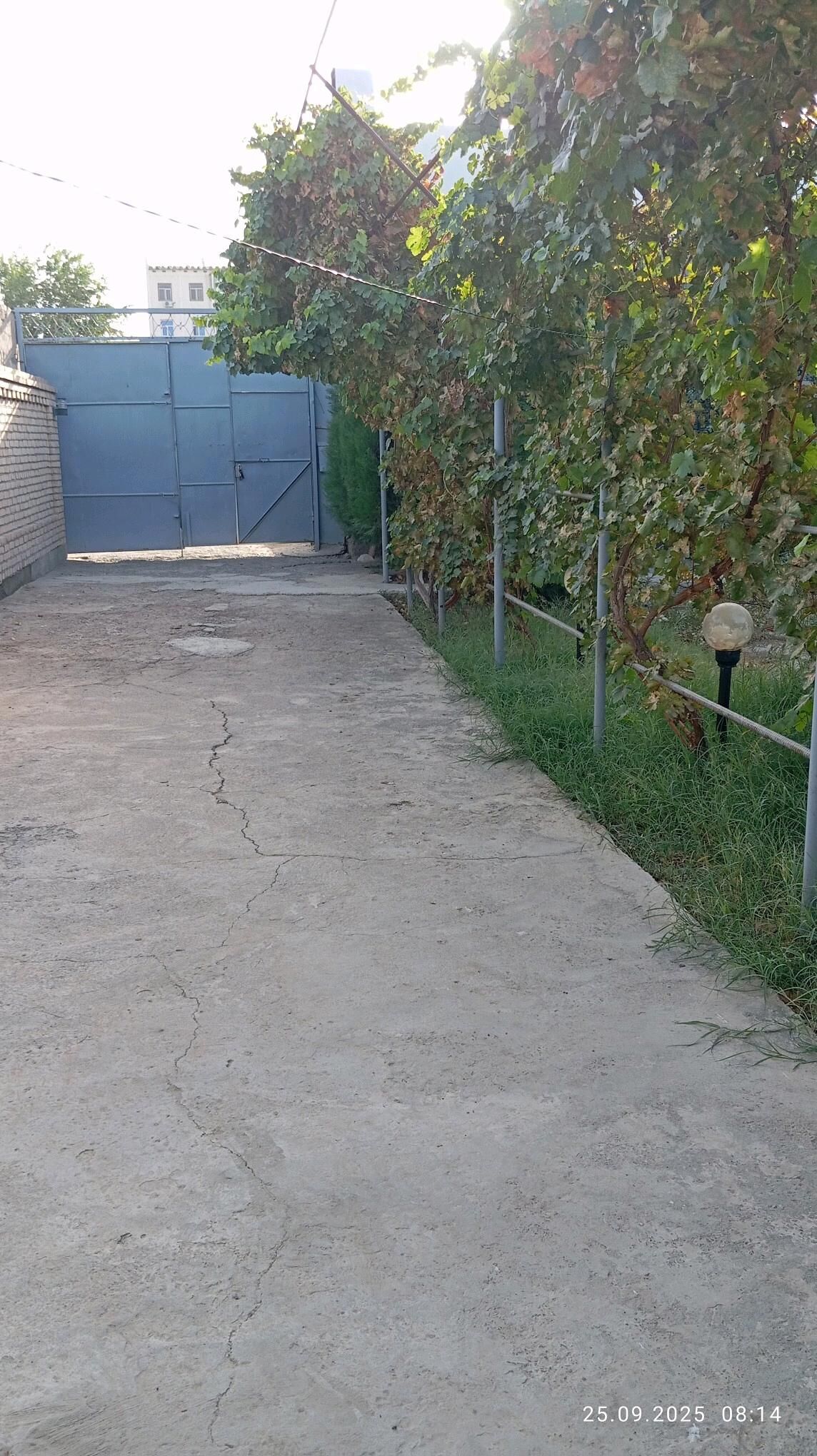 Недвижимость - Türkmenabat - img 5