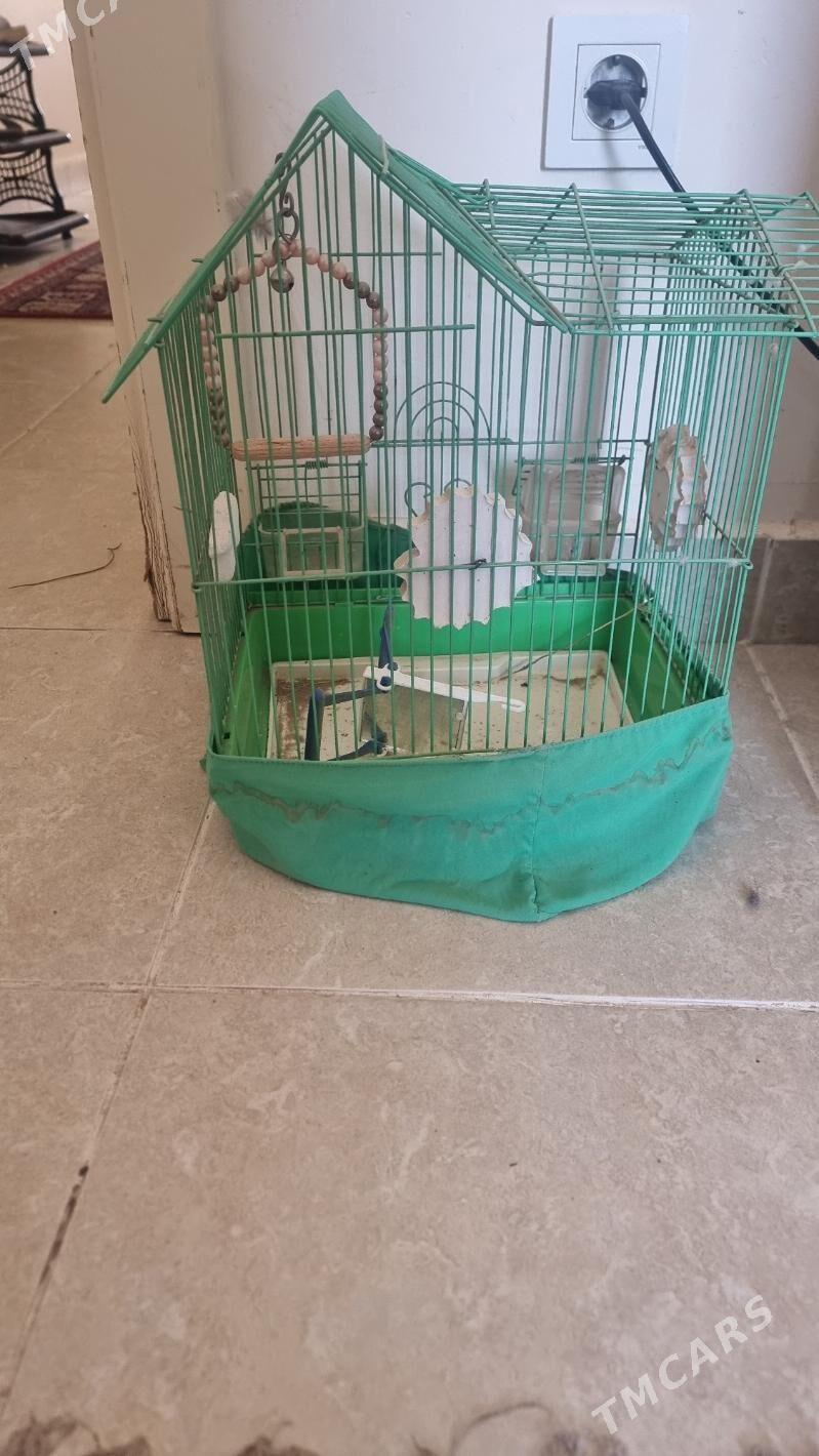 guṣ kletka - Parahat 8 - img 1