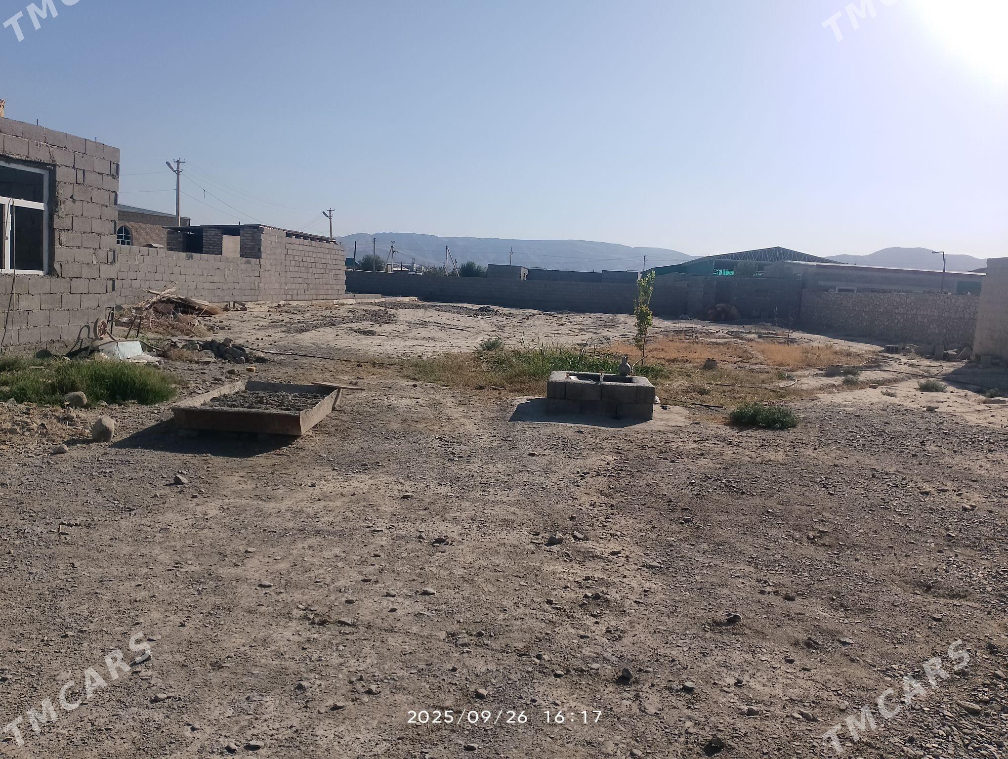 Satlyk Jaý Akdepe - Bäherden - img 1