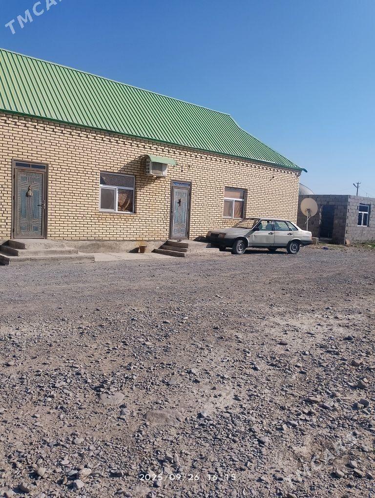 Satlyk Jaý Akdepe - Bäherden - img 3