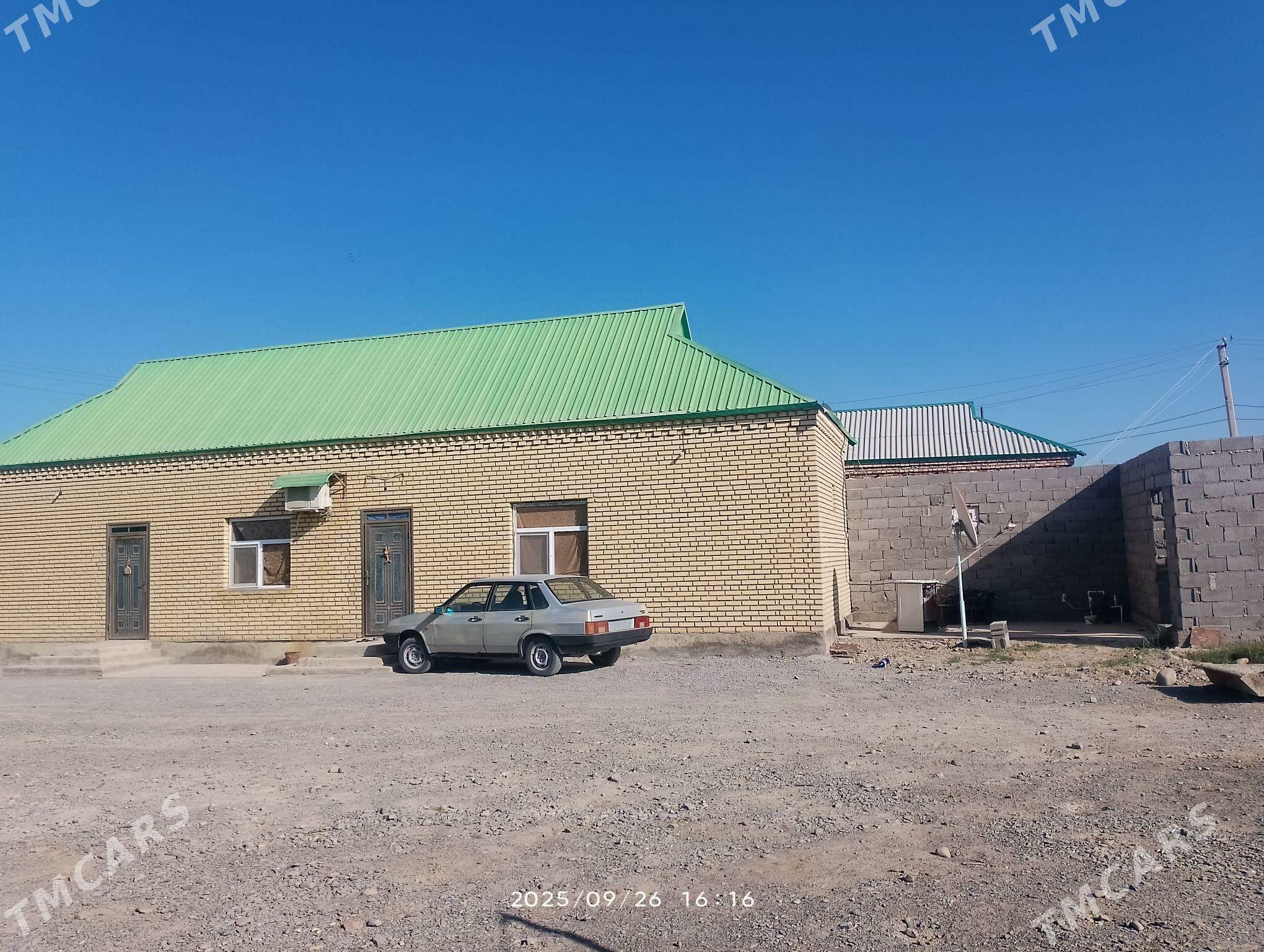 Satlyk Jaý Akdepe - Bäherden - img 2