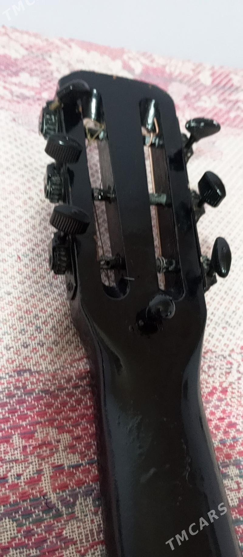 Gitara - Дашогуз - img 5