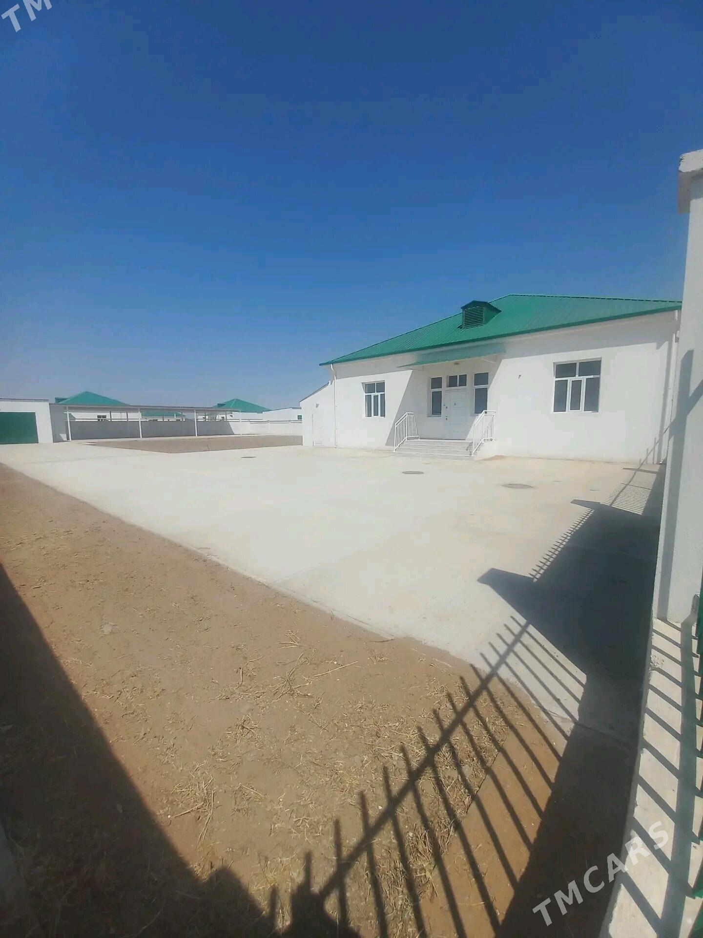 Satlyk Plan Jaý 30 ýyllyk - Ak bugdaý etraby - img 2