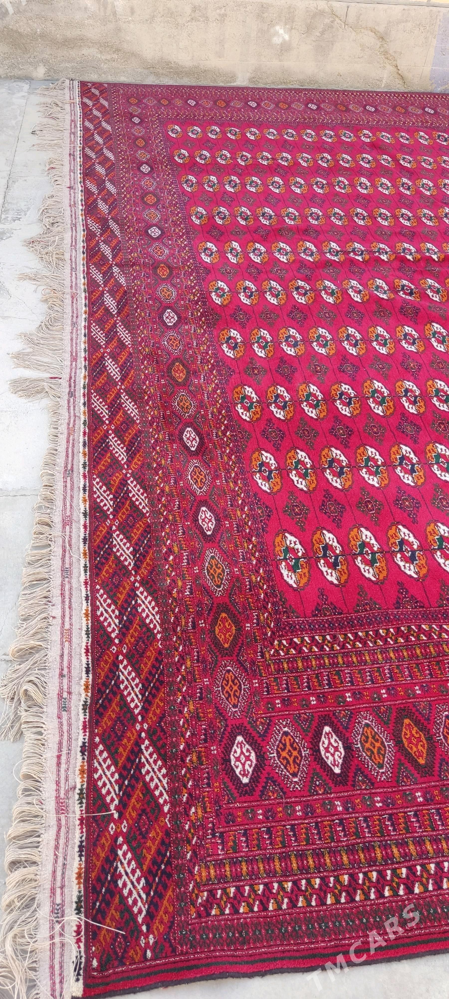 el haly 5/10 - Бахарден - img 2