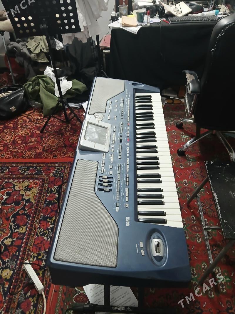 PA800 - Мары - img 3