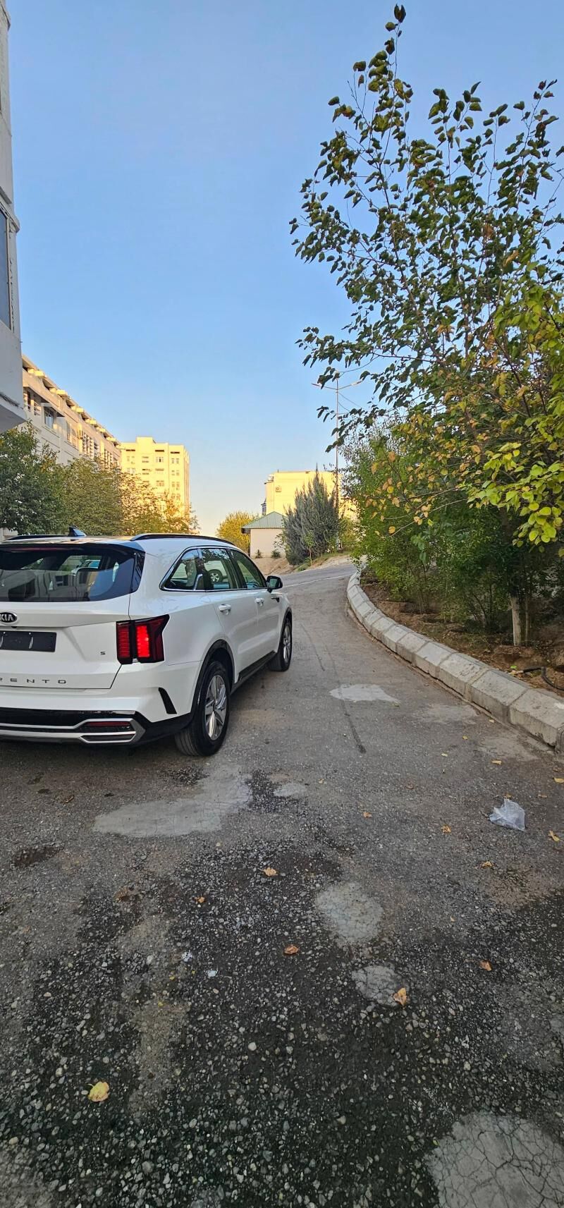 Kia Sorento 2021 - 375 000 TMT - Ашхабад - img 5