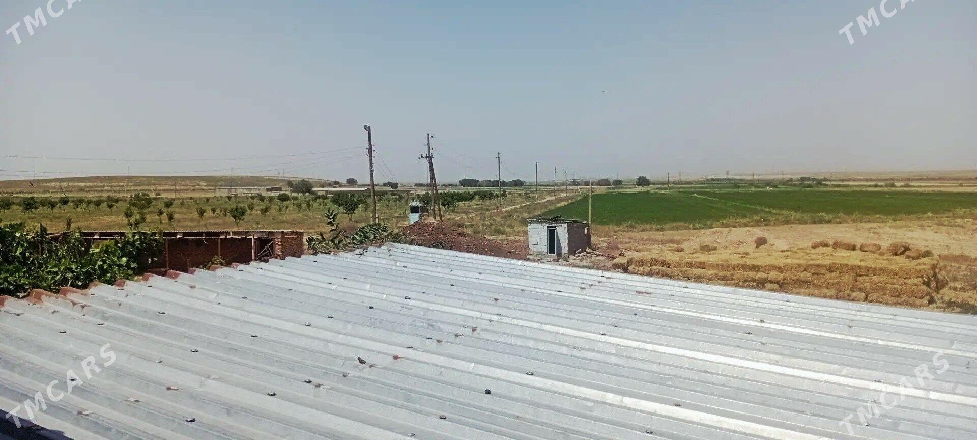 satlyk ekin meÿdan Kaka etr. - Кака - img 2