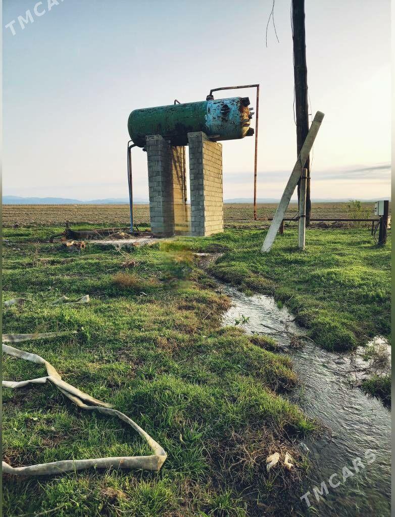 satlyk ekin meÿdan Kaka etr. - Кака - img 5