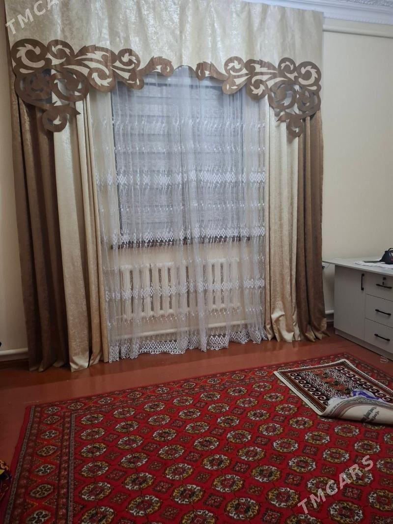 zanaweskalar - Daşoguz - img 4