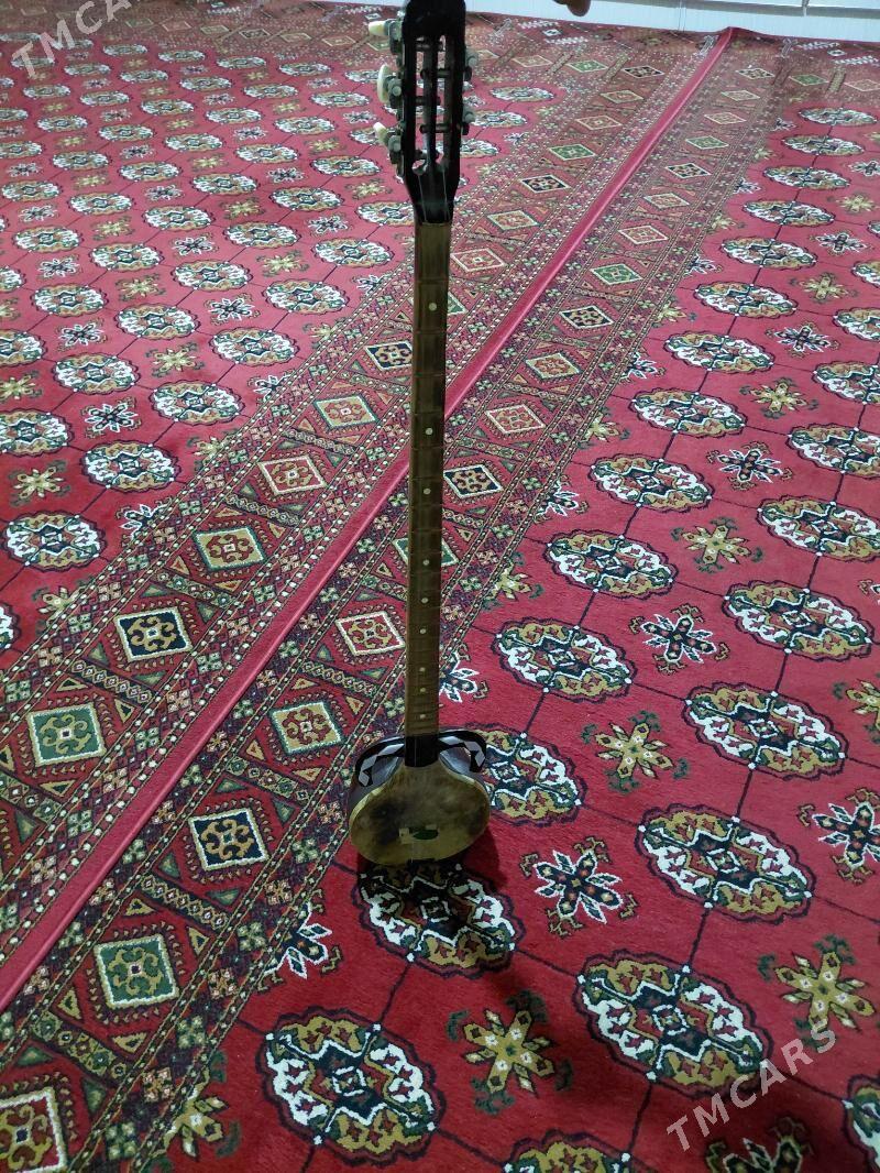 Plektra tar - Büzmeýin - img 4
