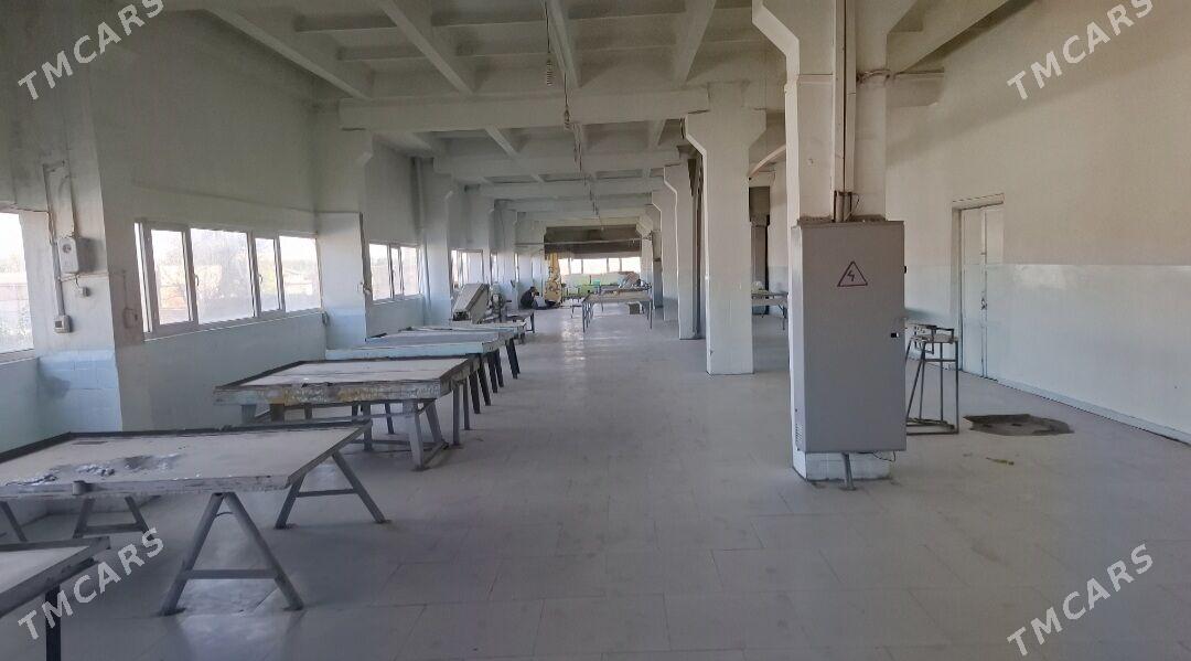 IZM suyji dolayan, pampaza - Mary - img 3