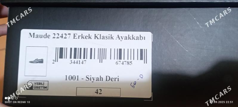 Erkek köwüş - Howdan "B" - img 6
