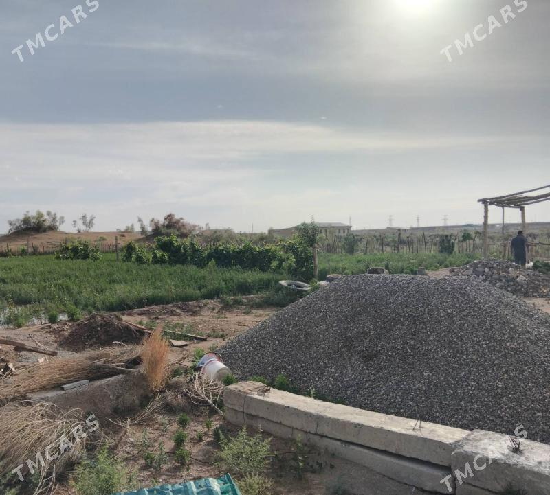 Satlyk jay - Türkmenabat - img 1