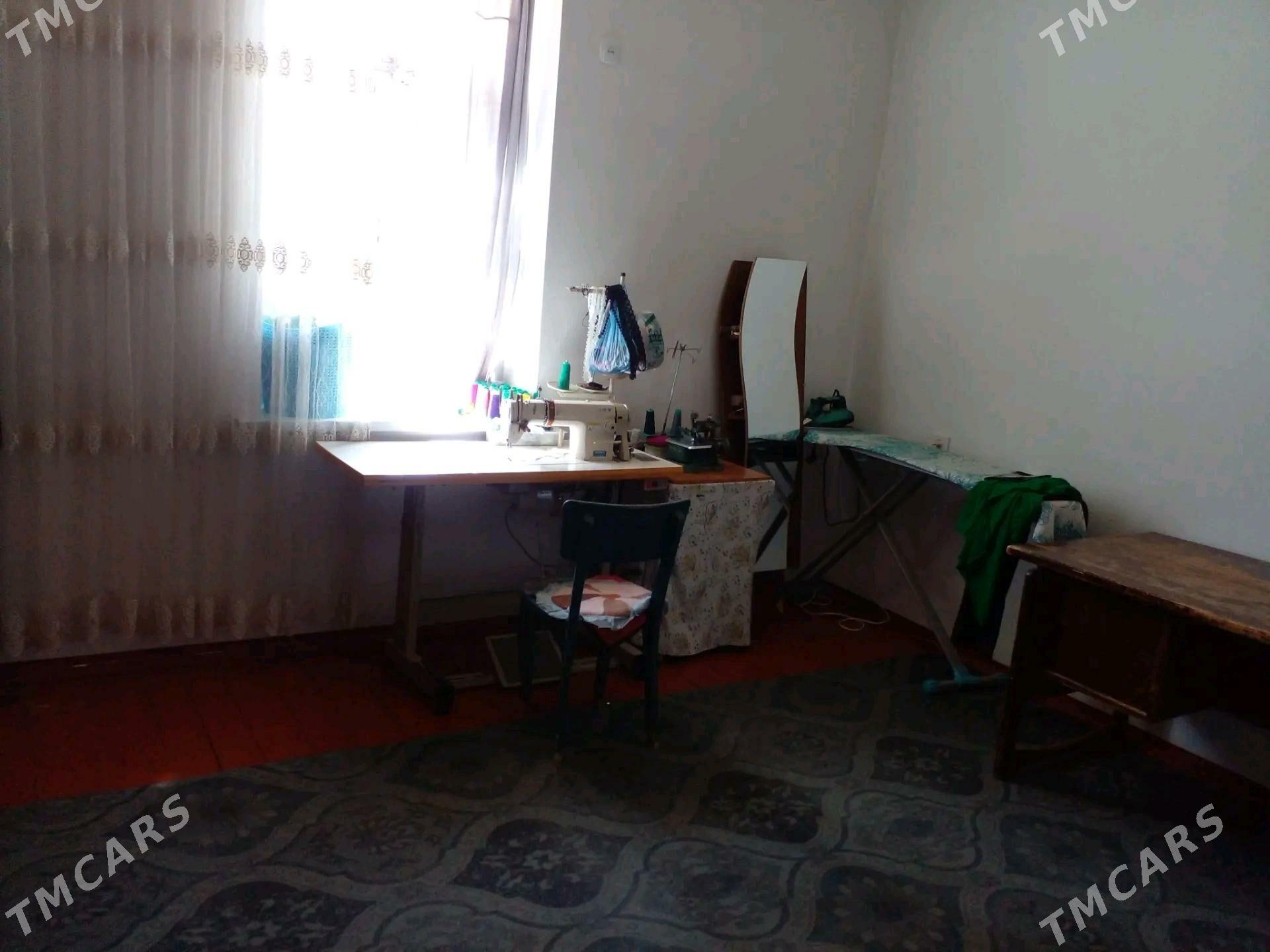 satlyk jay - Kerki - img 2