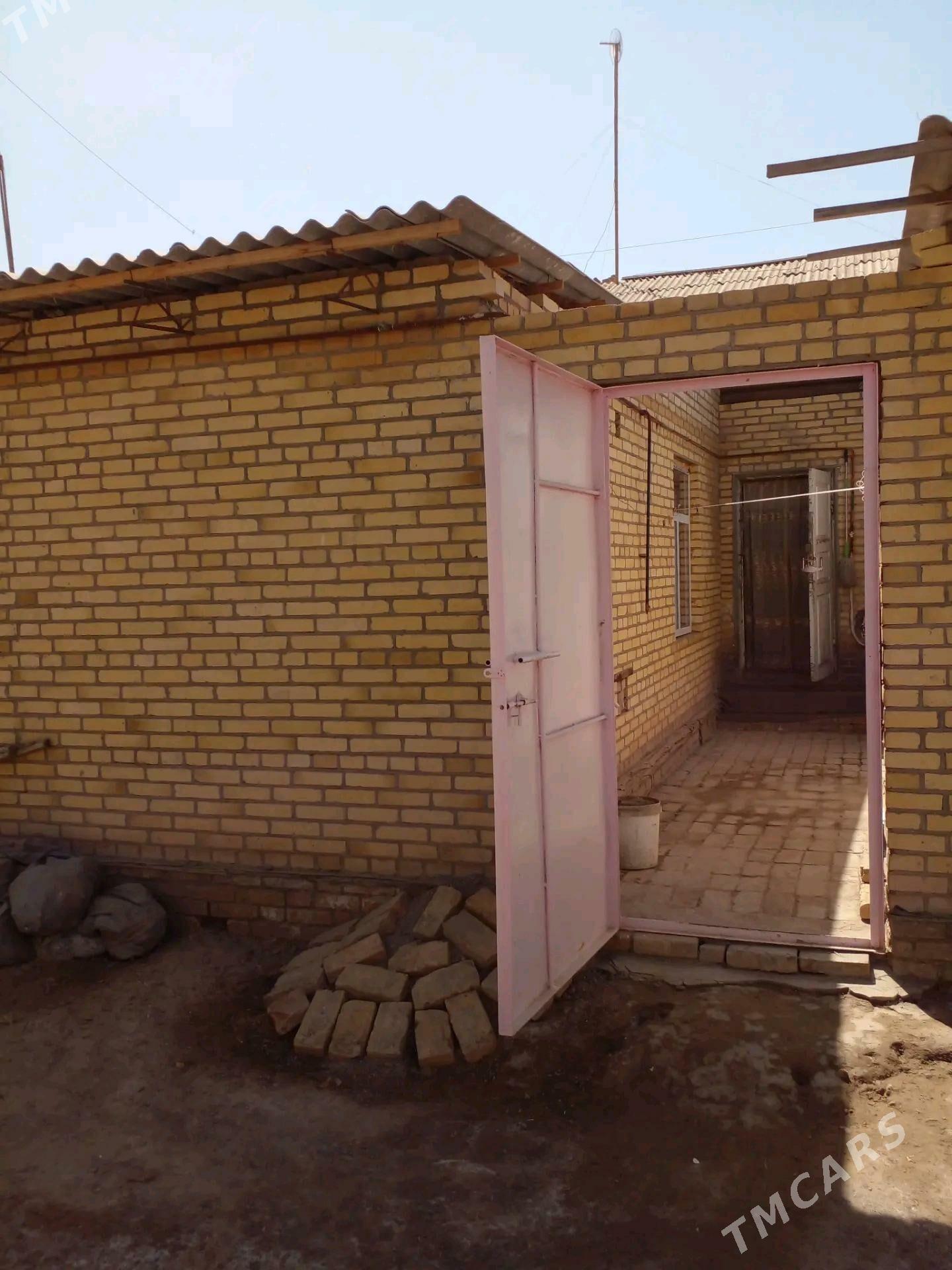 satlyk jay - Kerki - img 4