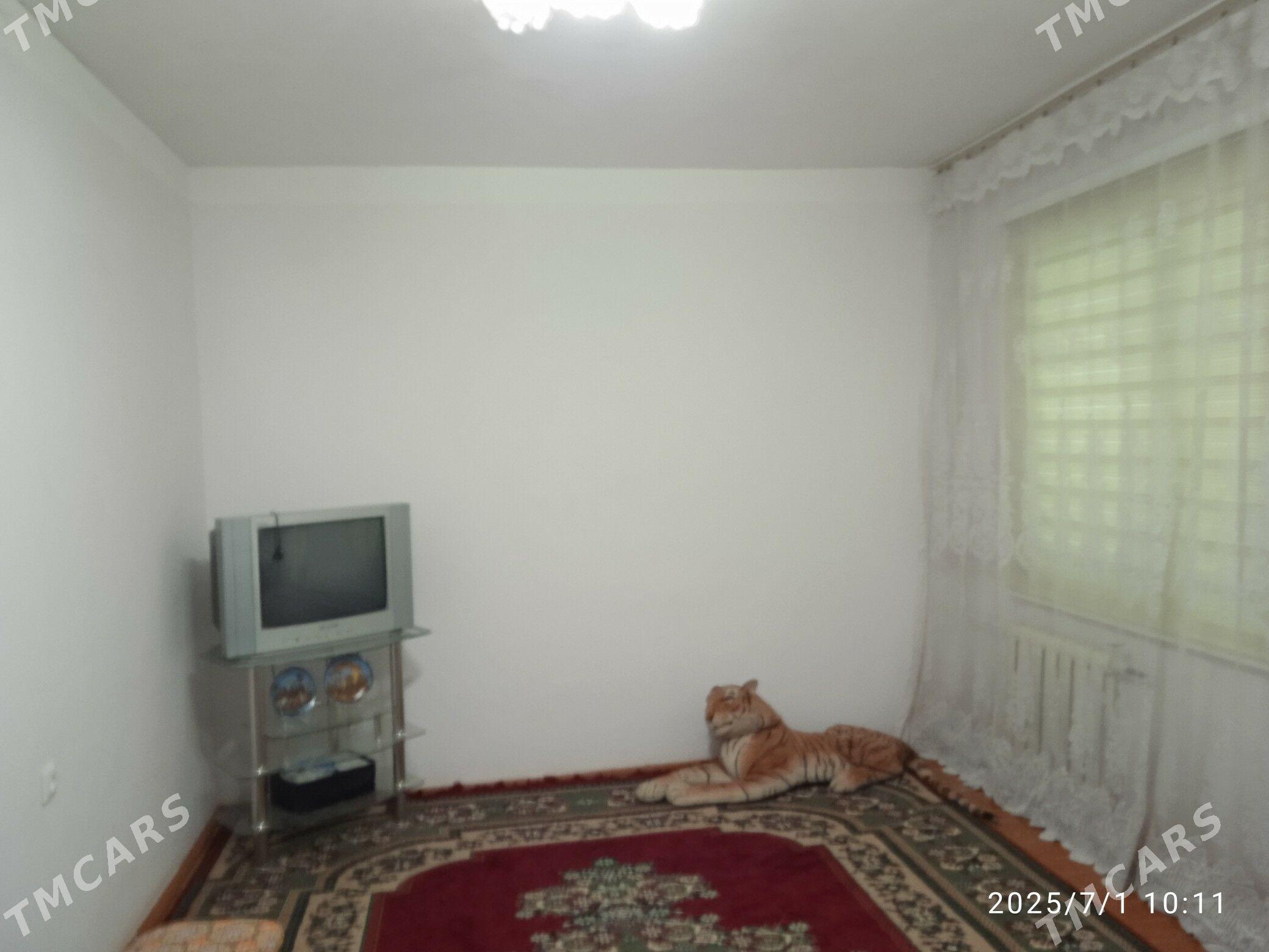 Satlyk Jay - Şatlyk - img 2