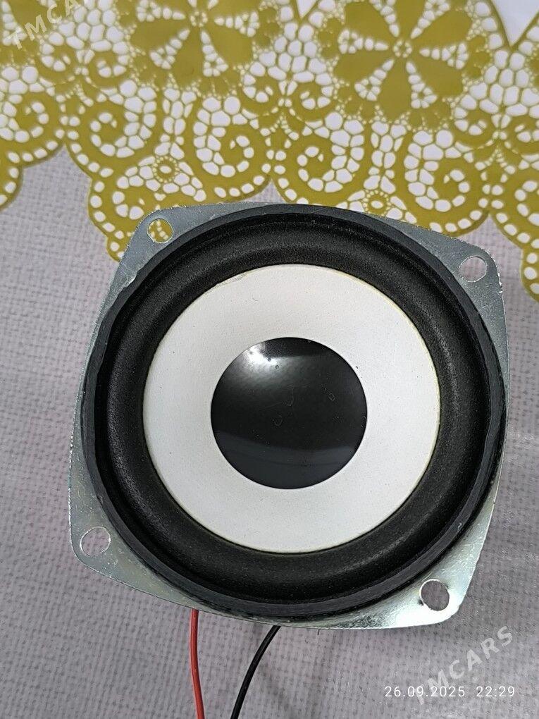 kici kalonka bass - Daşoguz - img 2