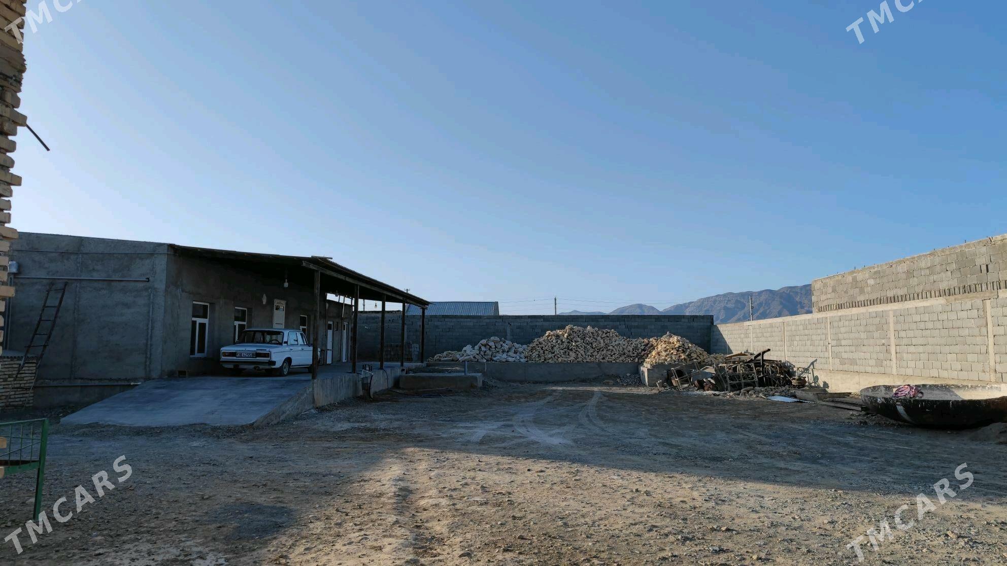 Satlyk jay  Janahyr ýylgynly - Gyzylarbat - img 4