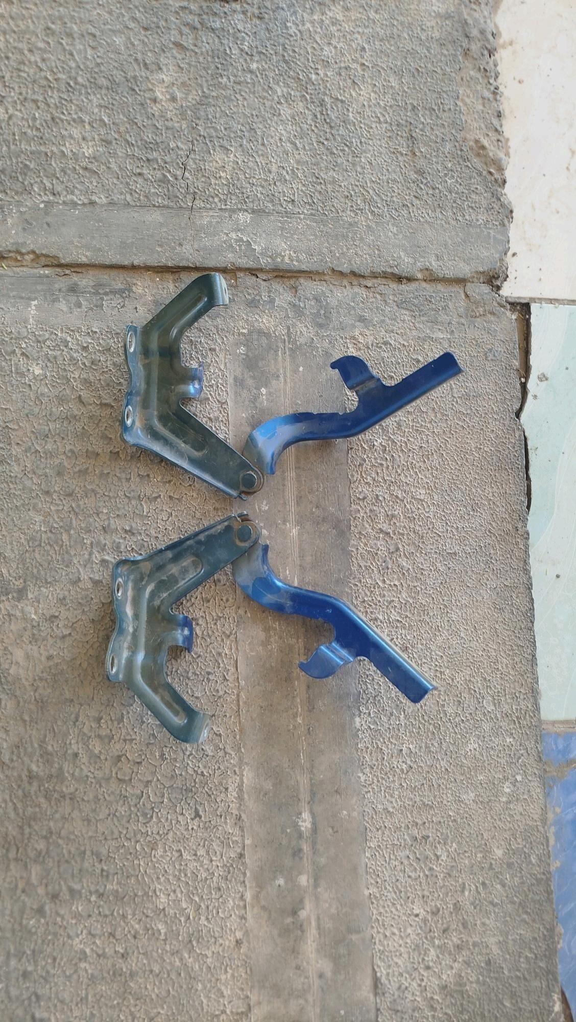 kapot petle aziada morda 200 TMT - Mary - img 2