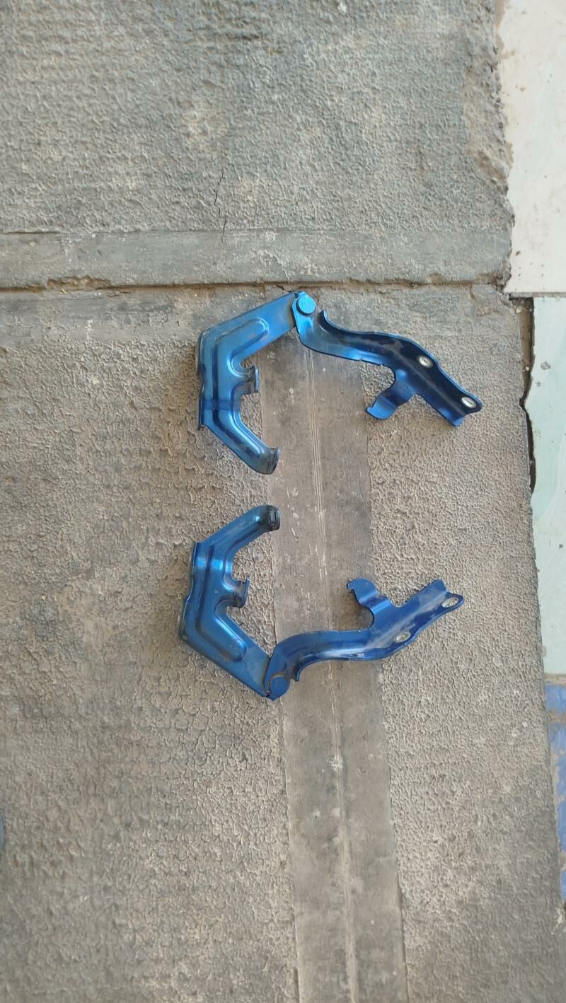 kapot petle aziada morda 200 TMT - Mary - img 3