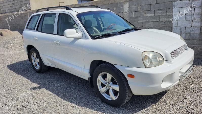 Hyundai Santa Fe 2002 - 100 000 TMT - Ak bugdaý etraby - img 2