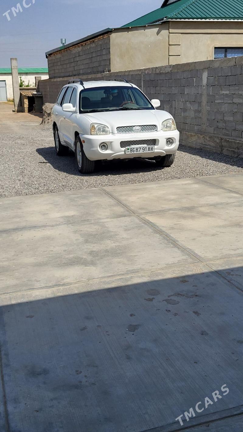 Hyundai Santa Fe 2002 - 100 000 TMT - Ak bugdaý etraby - img 3