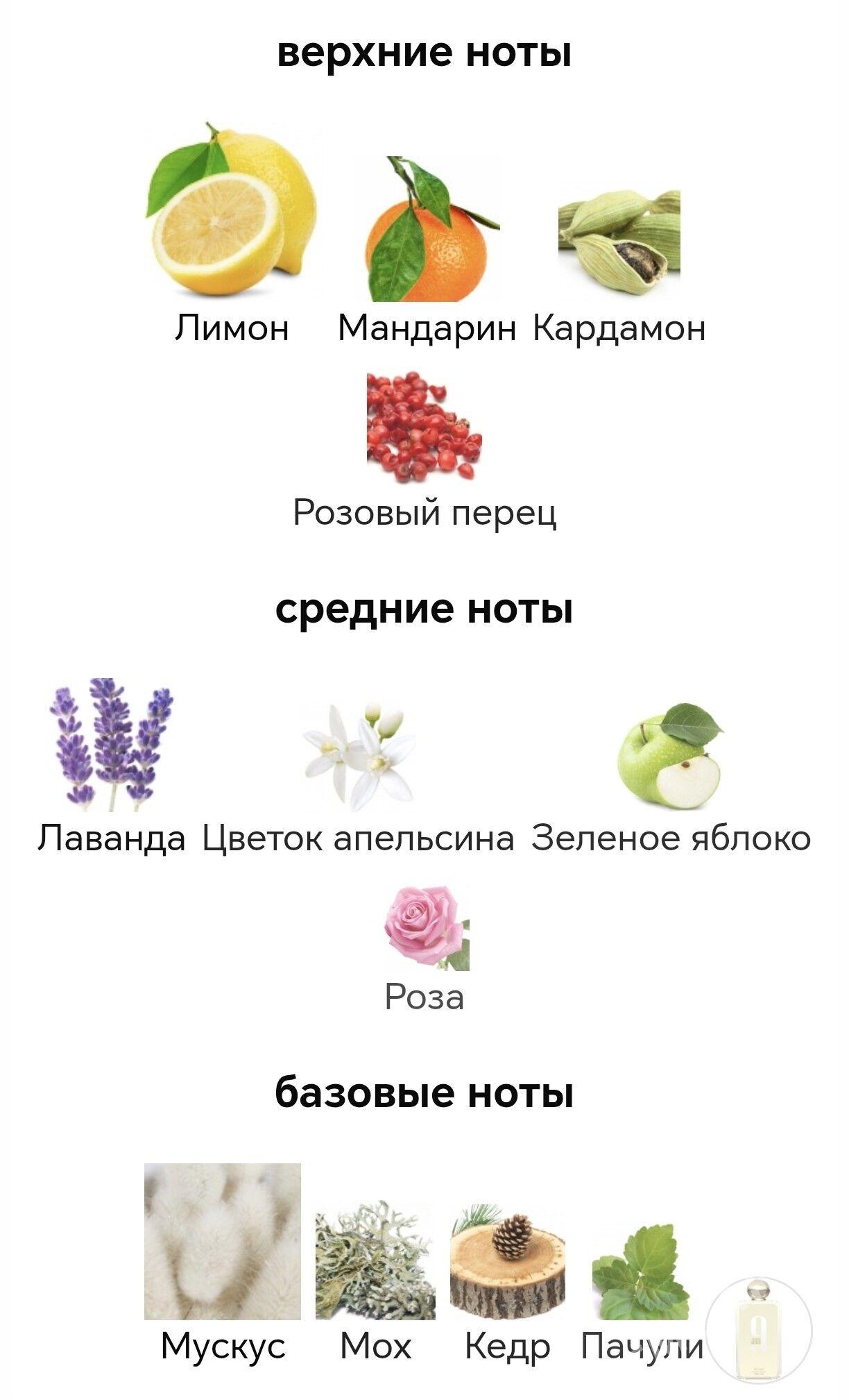 Duhi 9am для женщин - Ашхабад - img 3