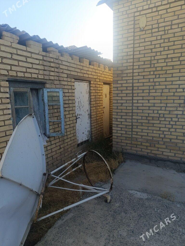 Satlyk jay - Mary - img 4