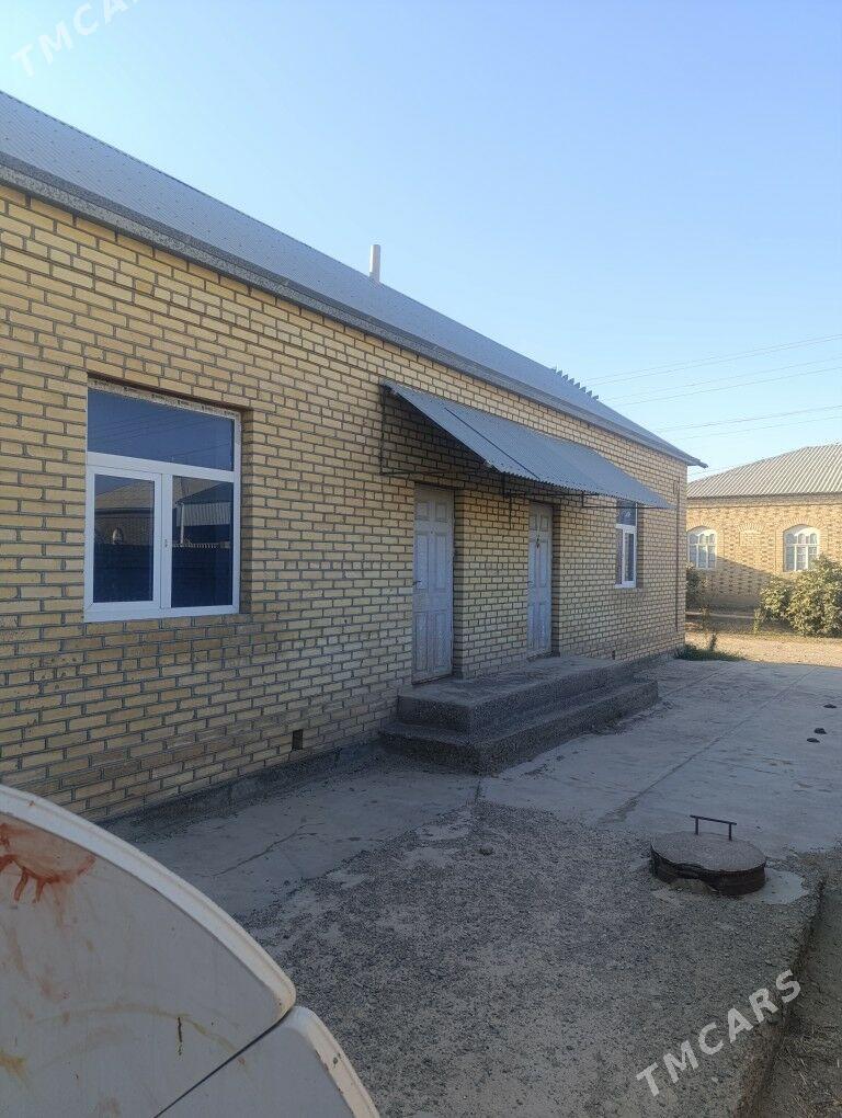 Satlyk jay - Mary - img 3