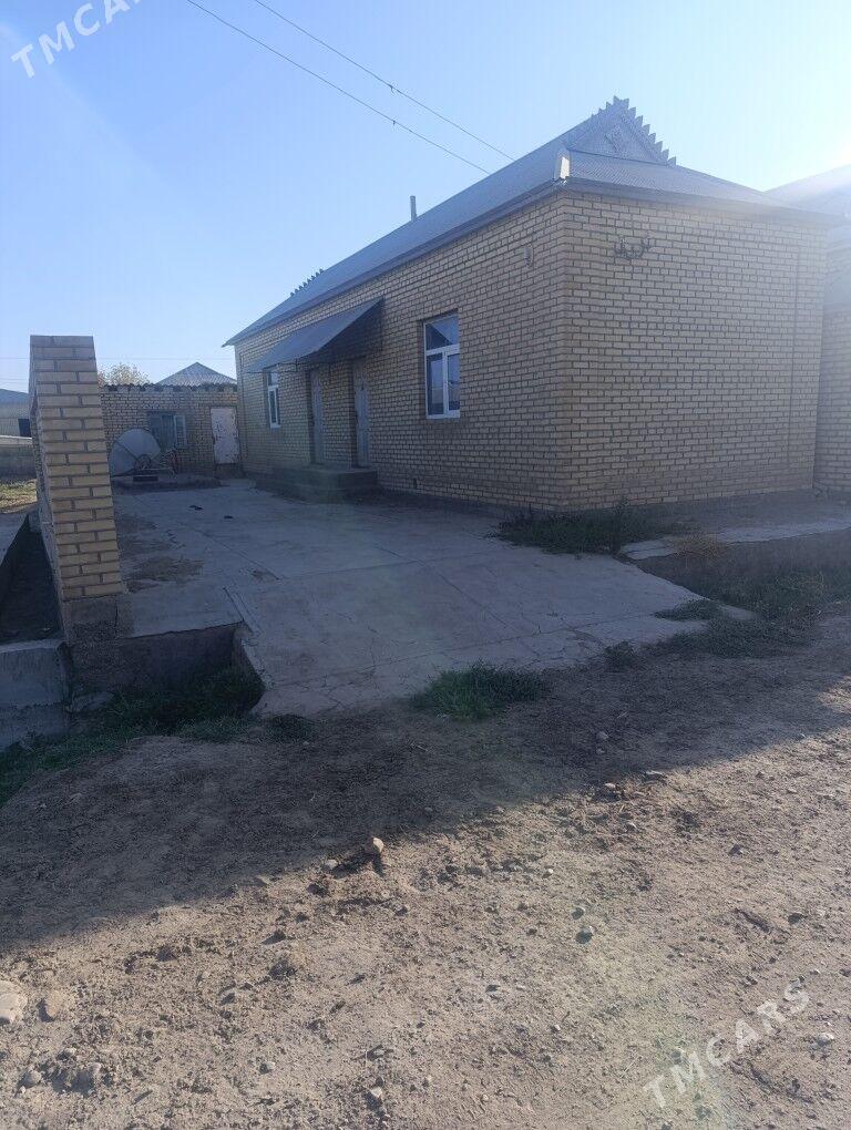 Satlyk jay - Mary - img 6