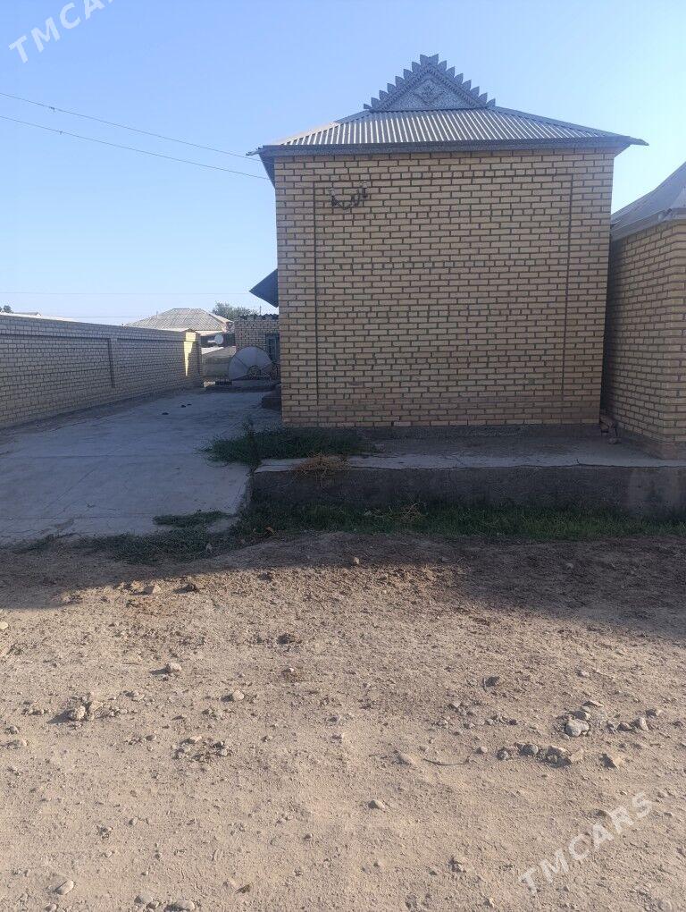 Satlyk jay - Mary - img 5