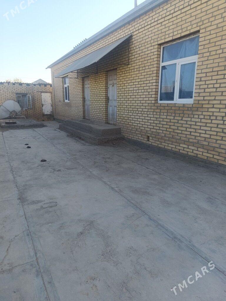 Satlyk jay - Mary - img 2