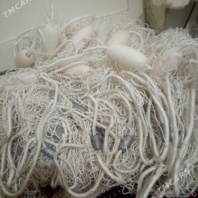 Сузме тор, бреден - Türkmenabat - img 3