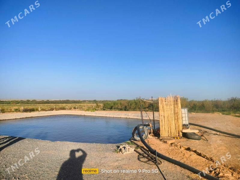 Miweli Bahlar Pisdaşke mindal - Ак-Бугдайский этрап - img 2