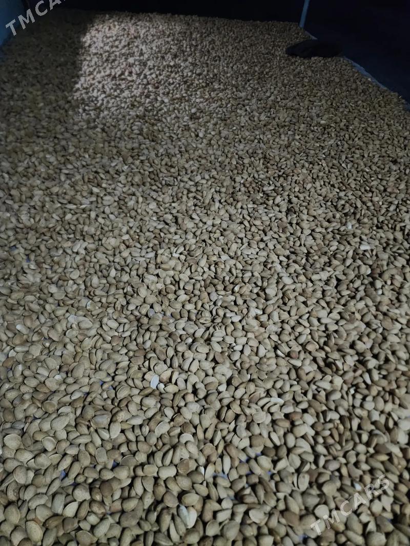 Miweli Bahlar Pisdaşke mindal - Ак-Бугдайский этрап - img 3