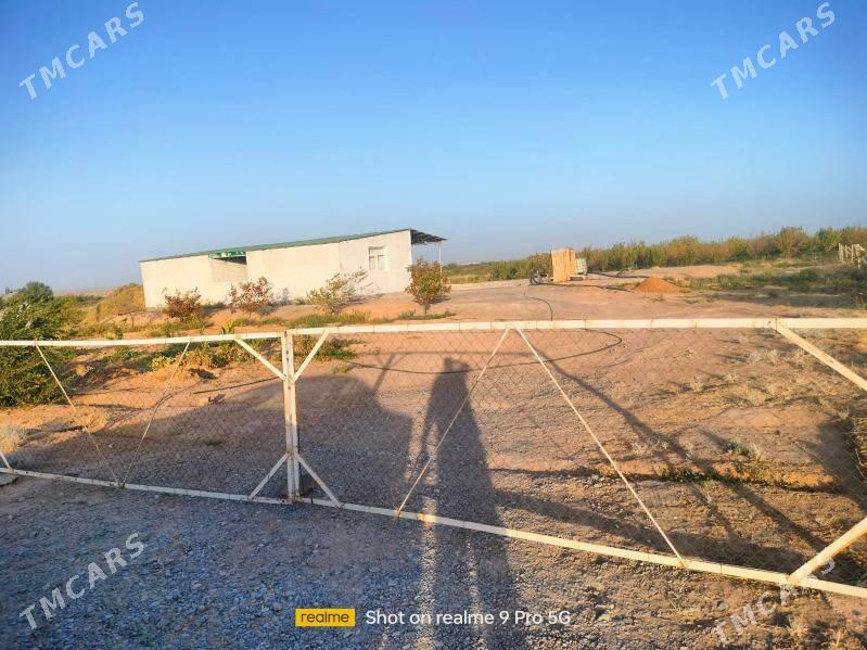 Miweli Bahlar Pisdaşke mindal - Ак-Бугдайский этрап - img 9