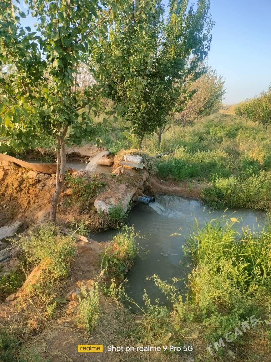 Miweli Bahlar Pisdaşke mindal - Ак-Бугдайский этрап - img 8